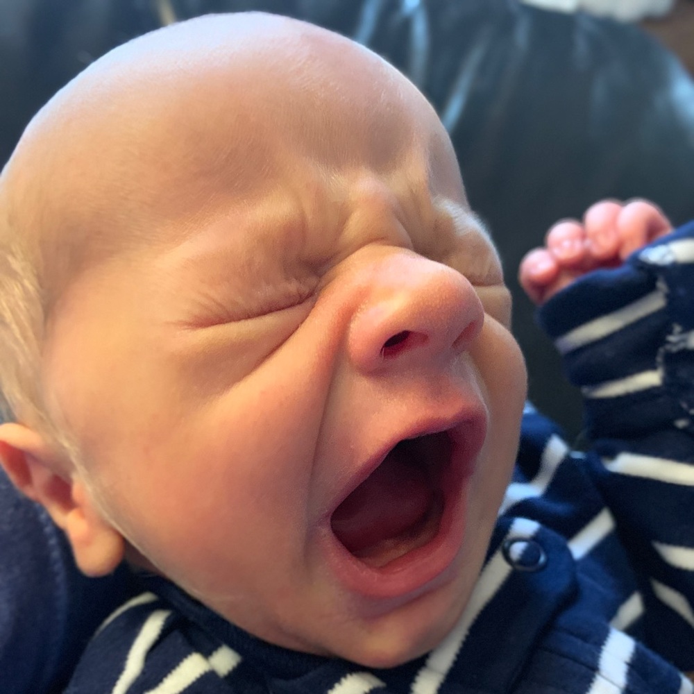 Meet your Posher, Jenny